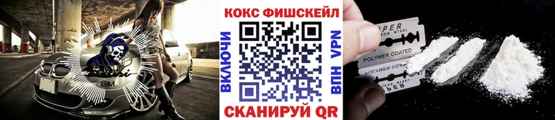 Кокаин Fish Scale  дарнет шоп  Тамбов 