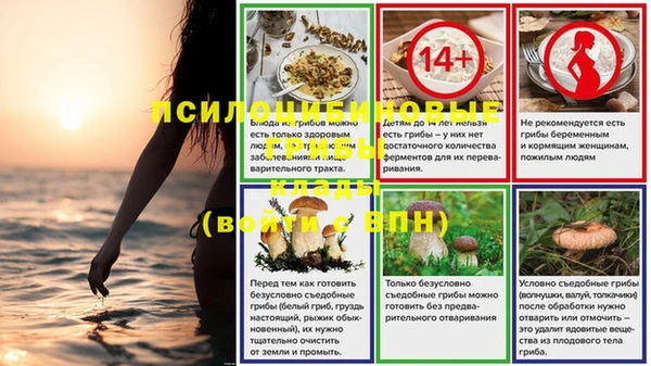 прущая мука Елизово
