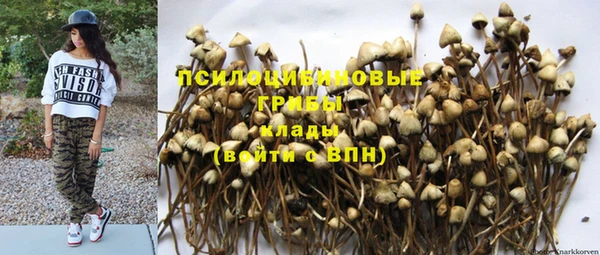 прущая мука Елизово