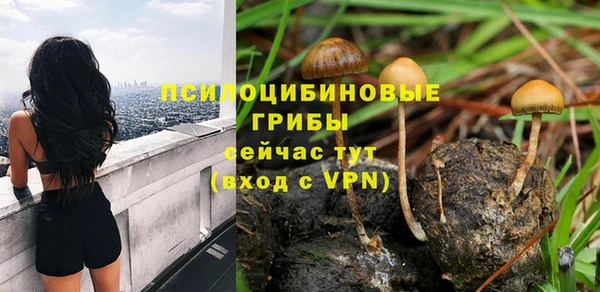 прущая мука Елизово