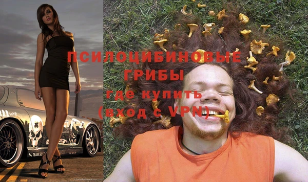 а пвп мука Ельня
